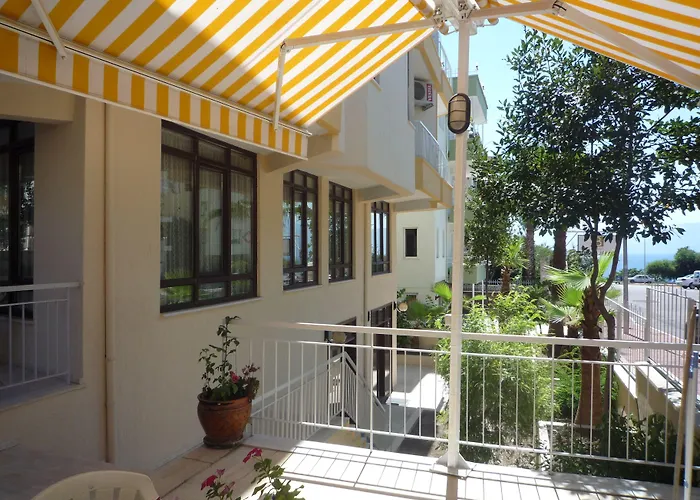 Pinus Otel